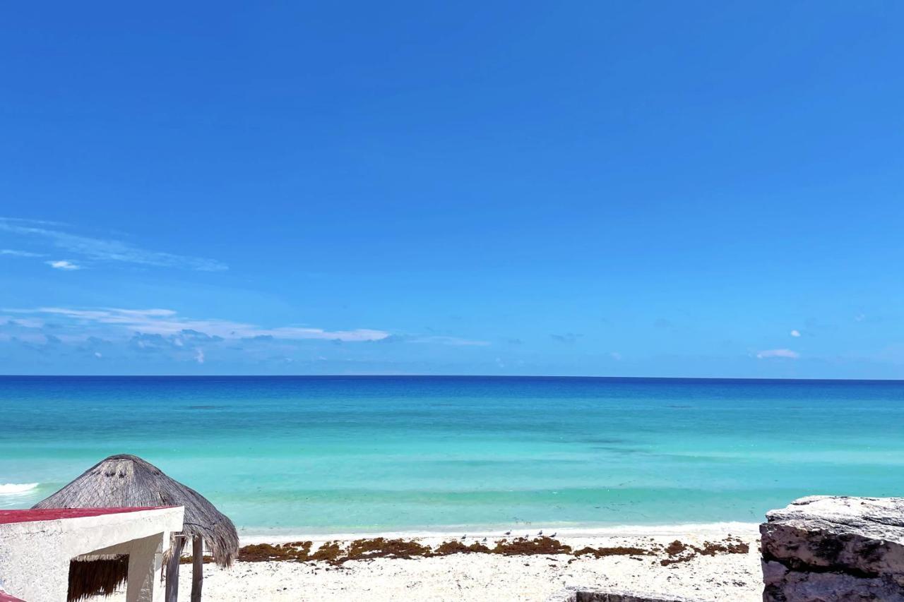 Renovated Studio In Cancun Beach At The Hotel Zone Buitenkant foto