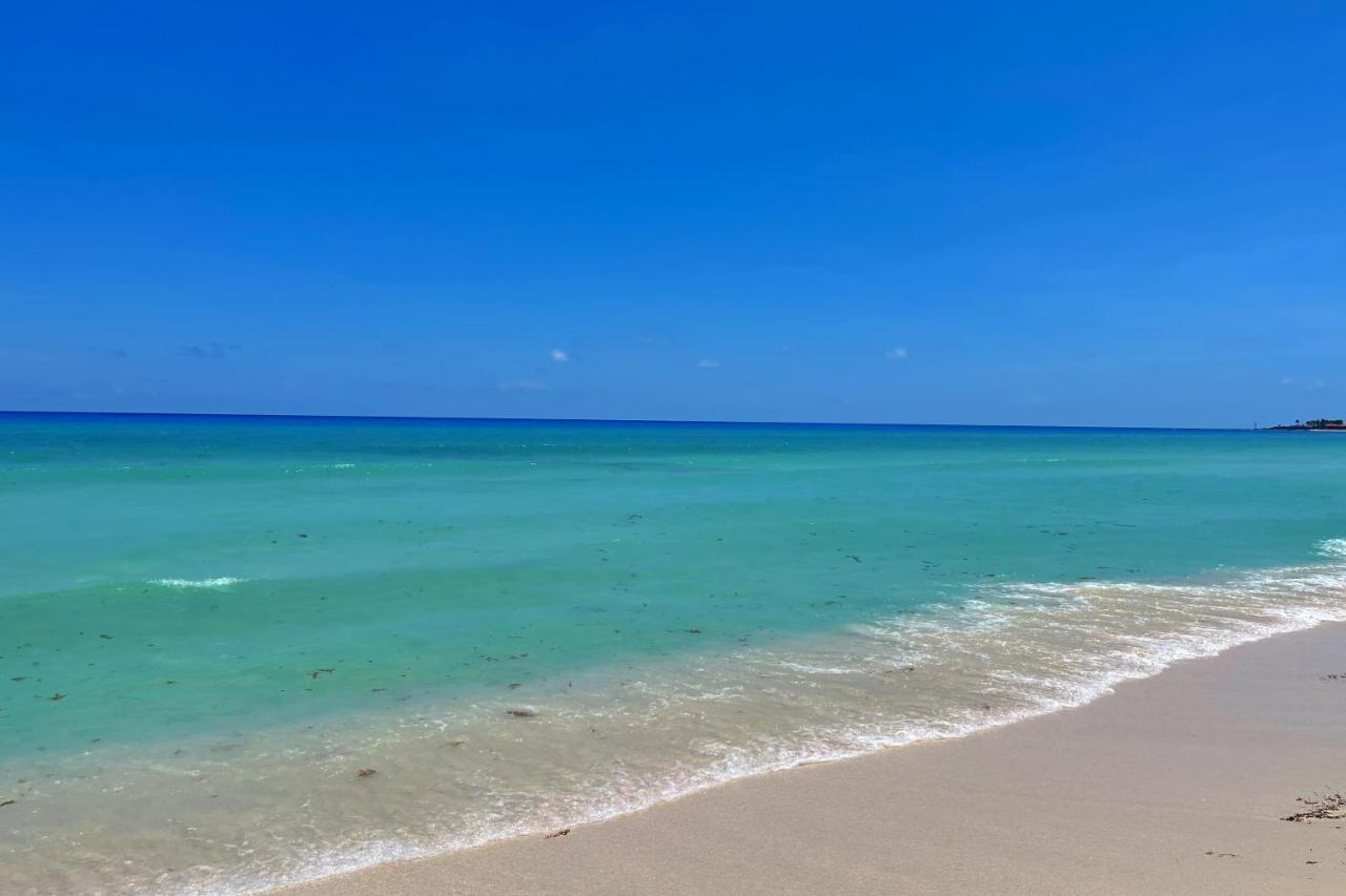 Renovated Studio In Cancun Beach At The Hotel Zone Buitenkant foto