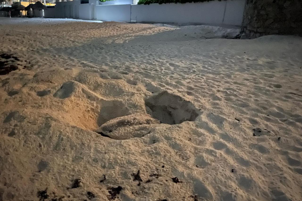 Renovated Studio In Cancun Beach At The Hotel Zone Buitenkant foto